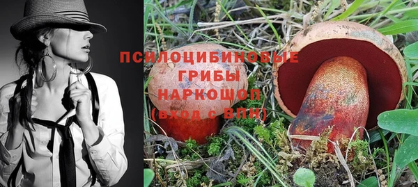 дурь Алзамай