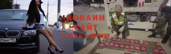 дурь Алзамай