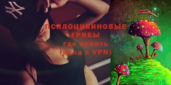 эйфоретик Алексин