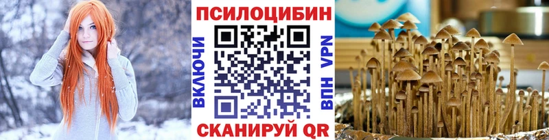купить   Еманжелинск  Галлюциногенные грибы Magic Shrooms 